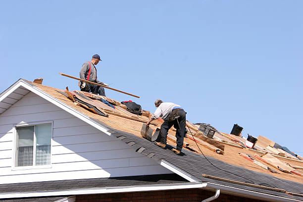 Best Asphalt Shingle Roofing  in La Puebla, NM